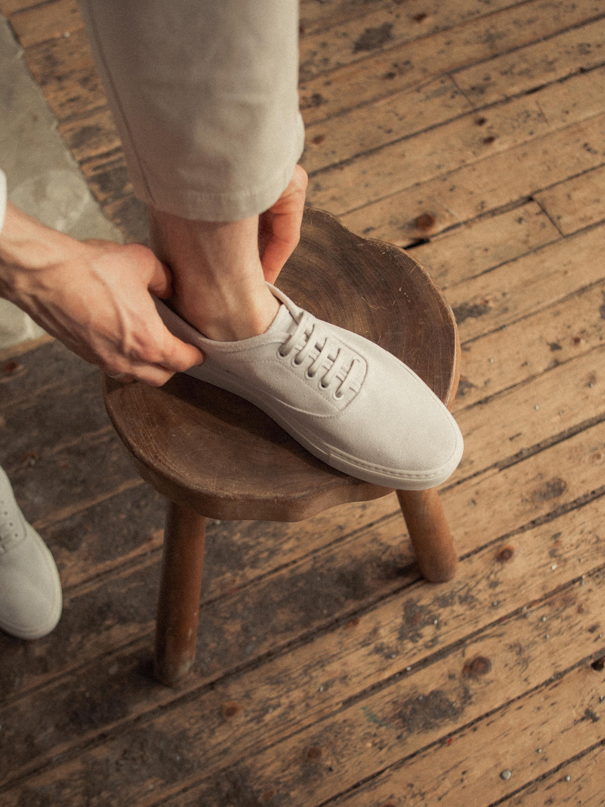 Portofino Suede Sneaker in Cirrus